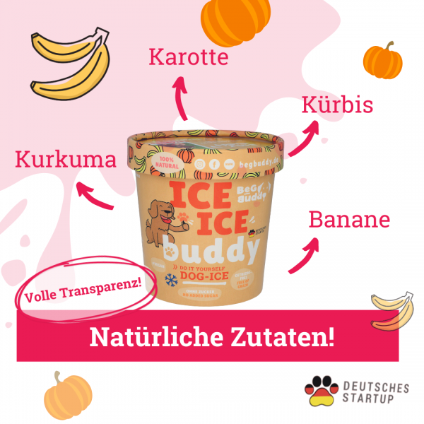 ICE ICE BUDDY – Banane & Kürbis Eispulver für Hundeeis